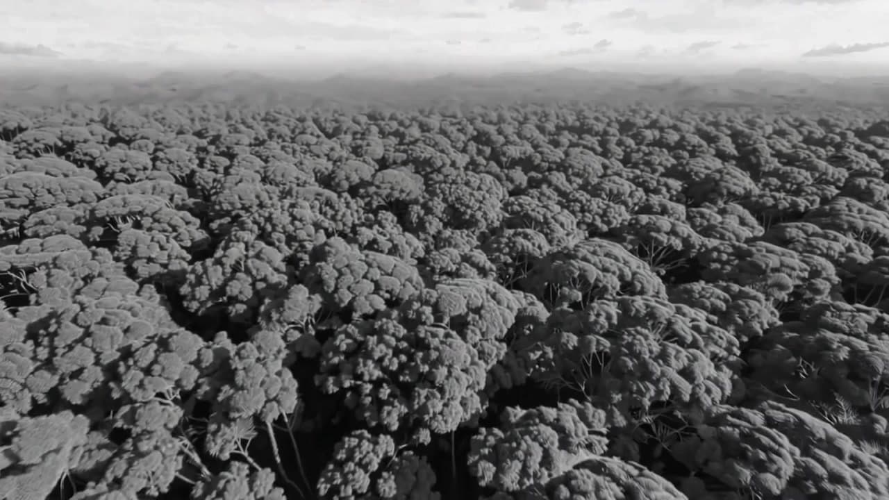 Serene rainforest scene showcasing nature and climate