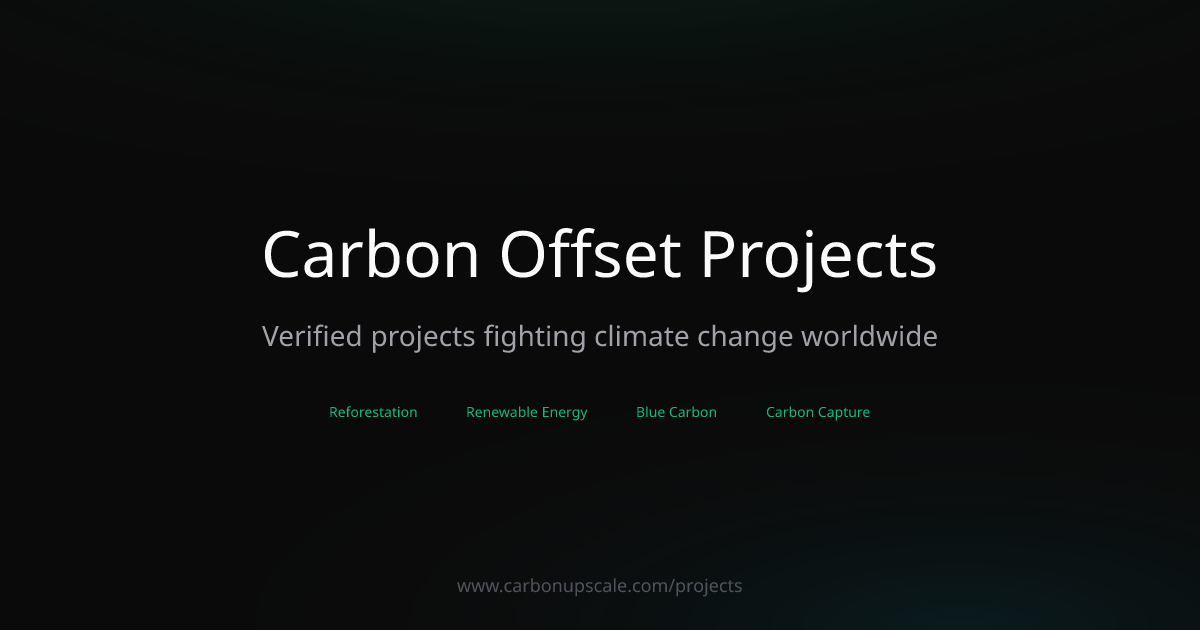 Carbon Offset Projects | Carbon Upscale